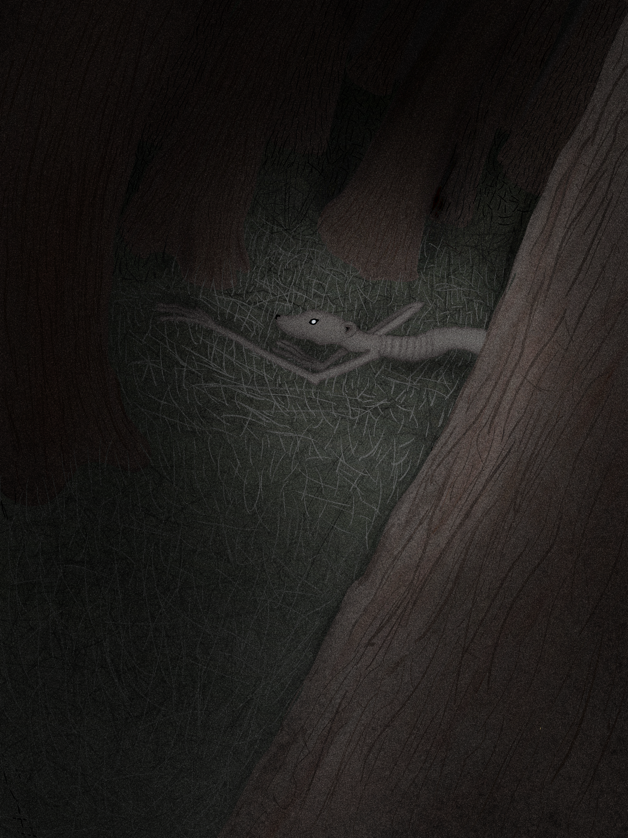 Photo of an Unkown Creature, 2024